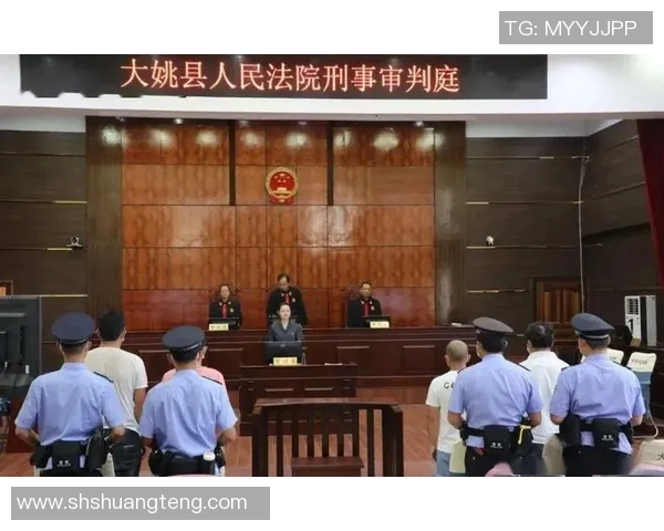 姚明起诉案结果揭晓法院判决引发社会广泛关注与讨论 姚明起诉案结果揭晓法院判决引发社会广泛关注与讨论